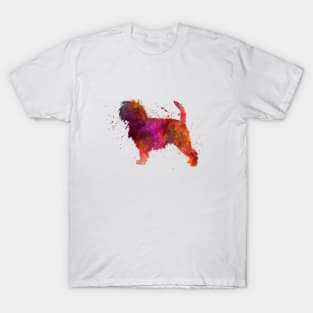 Affenpinscher in watercolor T-Shirt